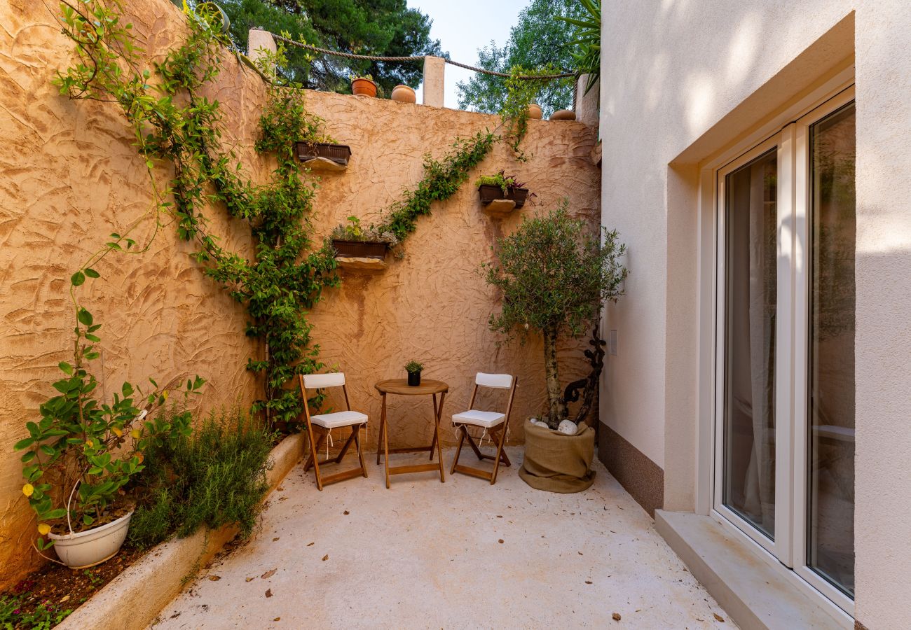 Dom w Svirce - Sea view Villa Amaria