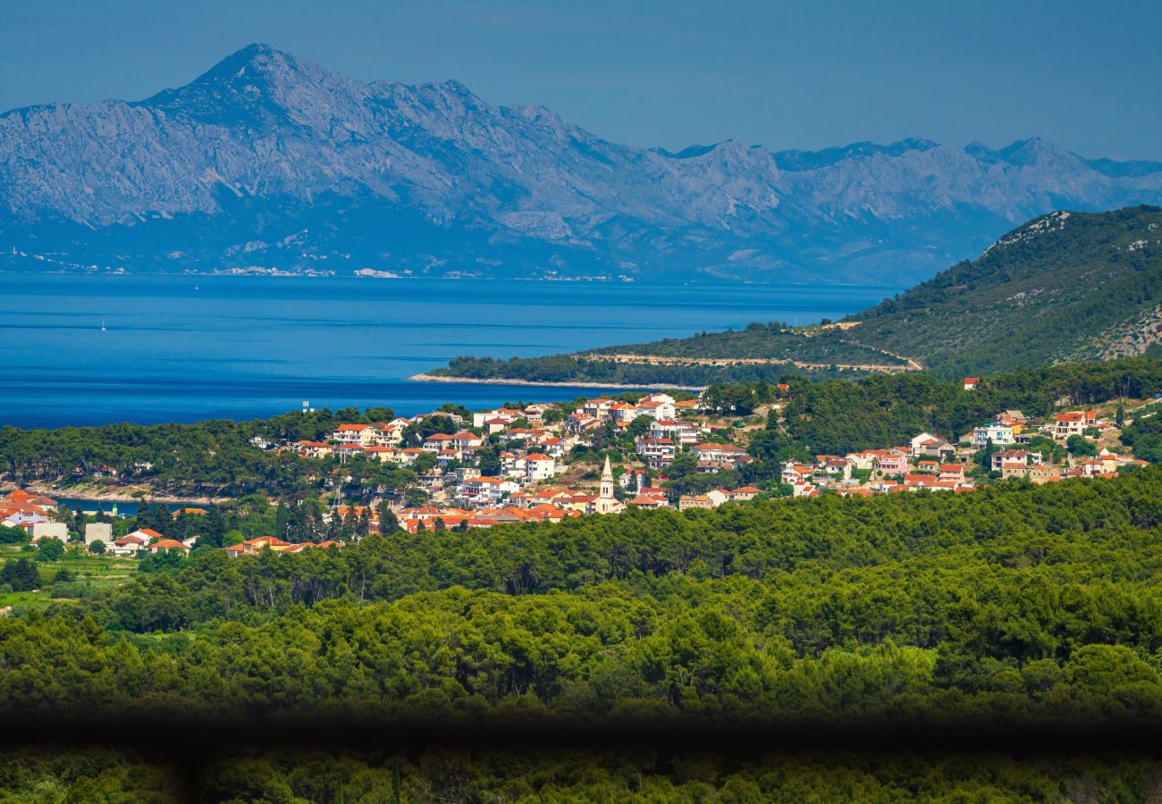 Dom w Svirce - Sea view Villa Amaria