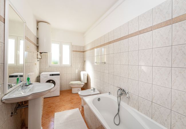 Dom w Privlaka - Beach house Privlaka Dom w Privlaka - Beach house Privlaka