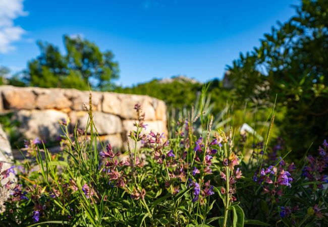Dom w Starigrad - Sea view stone house Dobroselo Dom w Starigrad - Sea view stone house Dobroselo