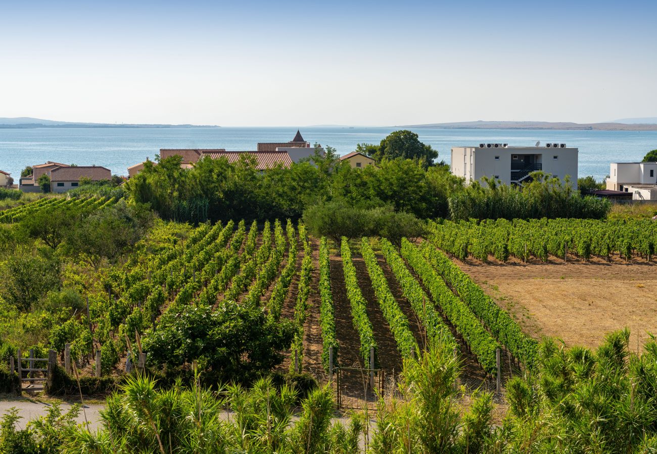 Apartament w Vrsi - Beach apartment LaMag