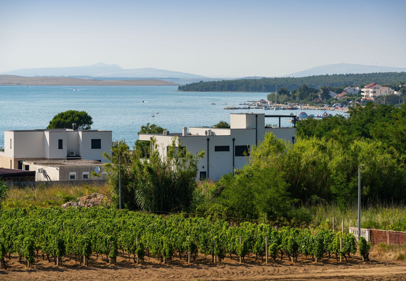 Apartament w Vrsi - Beach apartment LaMag