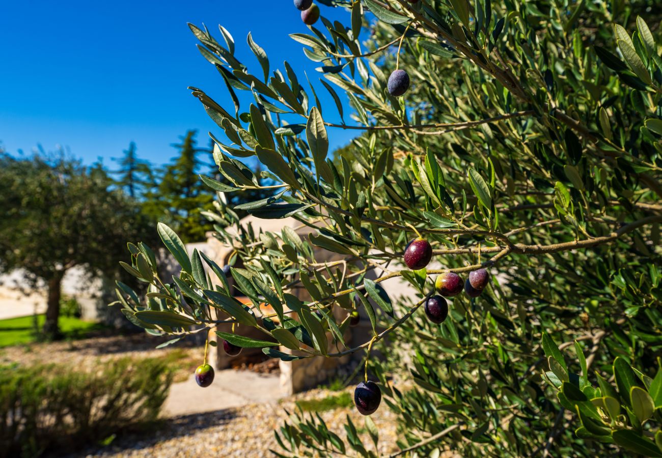 Dom w Raštevic - Holiday home Emily