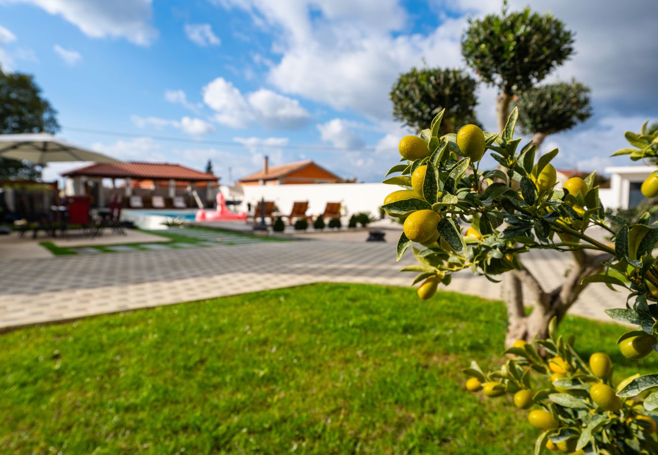 Apartament w Galovac - Apartment Neda