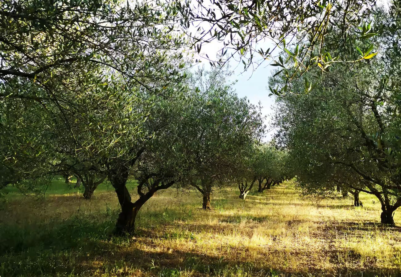 Dom w Kula Atlagic - Hilltop Paradise with private pool