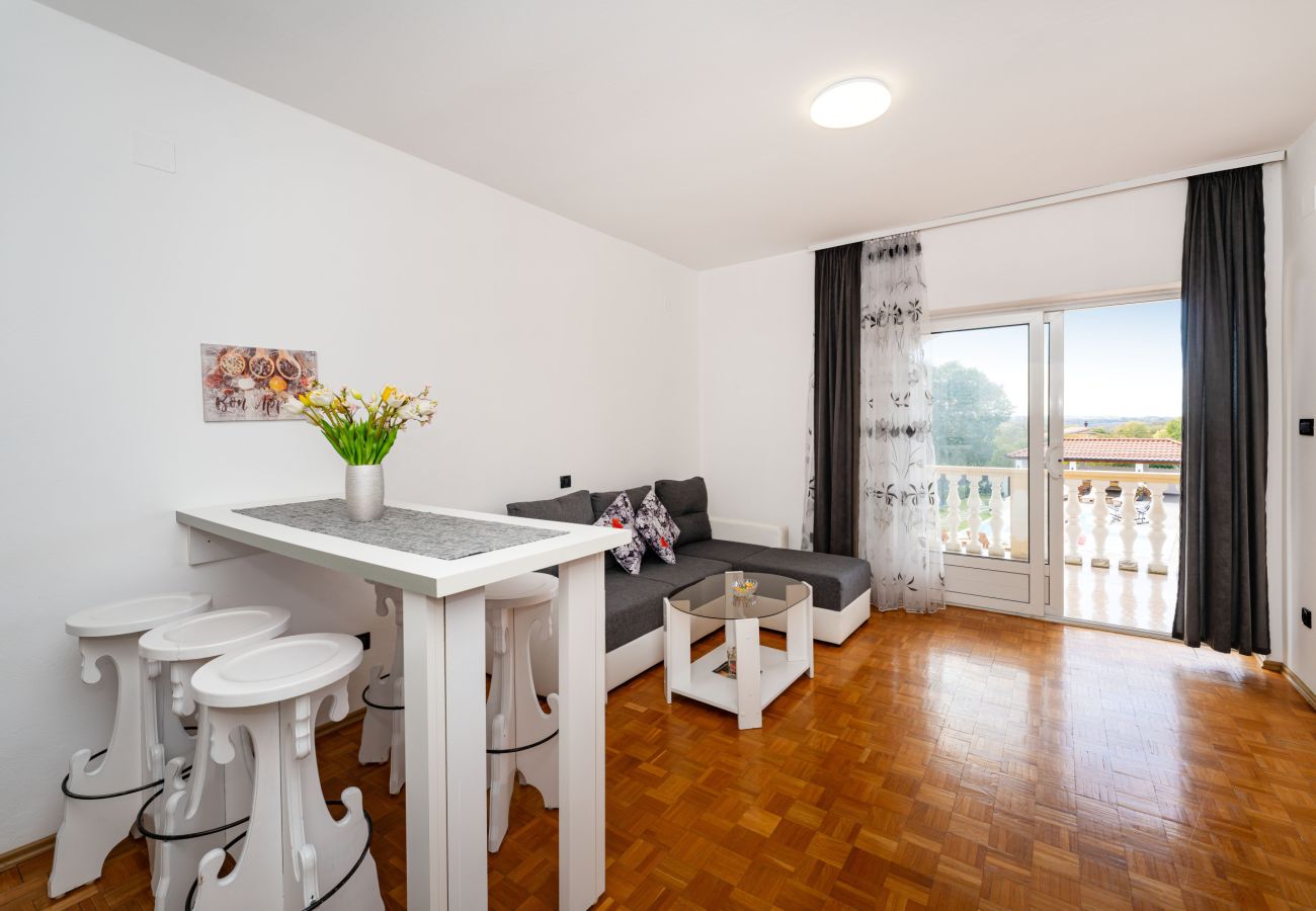 Apartament w Galovac - Apartment Galleli with private pool