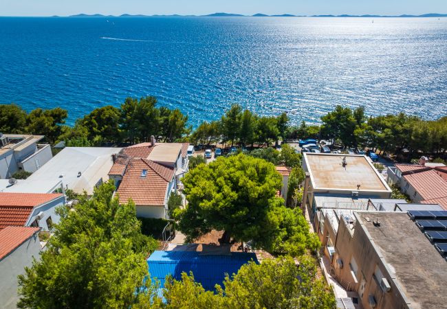 Dom w Murter - Beach House Kornati View