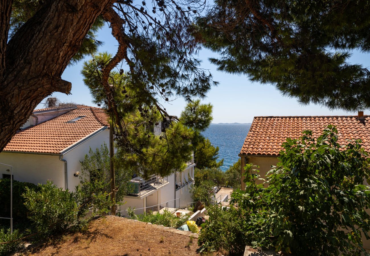 Dom w Murter - Beach House Kornati View