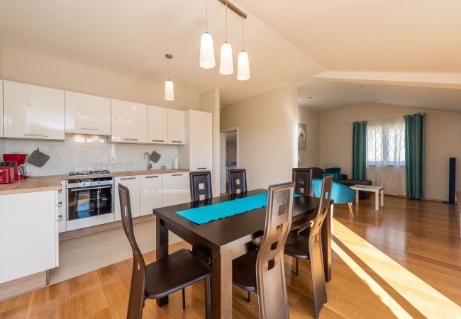 House in Petrcane - Holiday home Marijanka House in Petrcane - Holiday home Marijanka