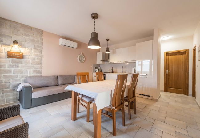 House in Petrcane - Holiday home Marijanka House in Petrcane - Holiday home Marijanka