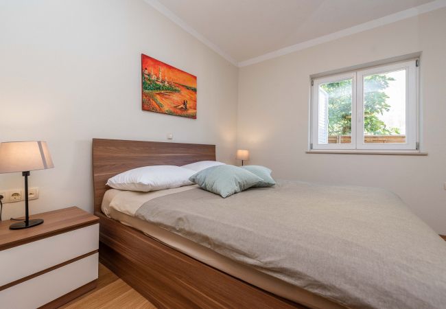 House in Petrcane - Holiday home Marijanka House in Petrcane - Holiday home Marijanka