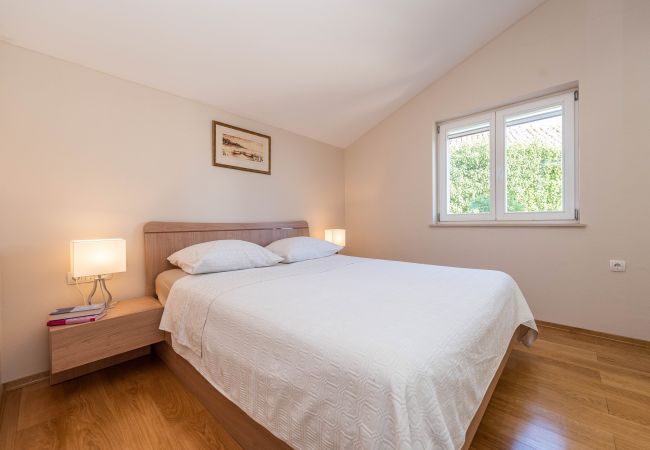 House in Petrcane - Holiday home Marijanka House in Petrcane - Holiday home Marijanka