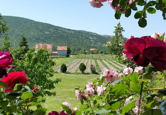 House in Neoric - Sport & Spa Villa Neoric House in Neoric - Sport & Spa Villa Neoric