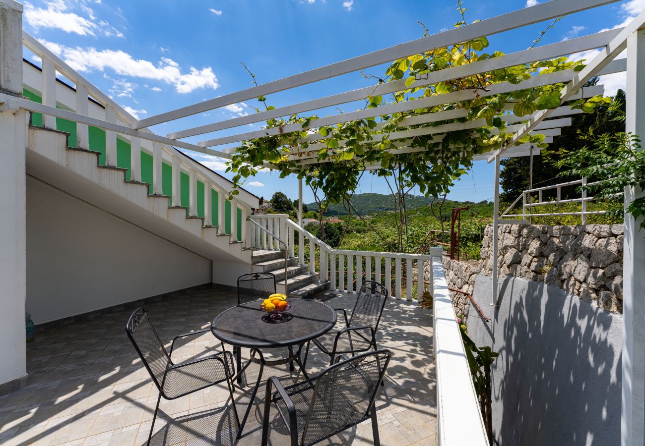 House in Peracko Blato - Villa Green Paradise