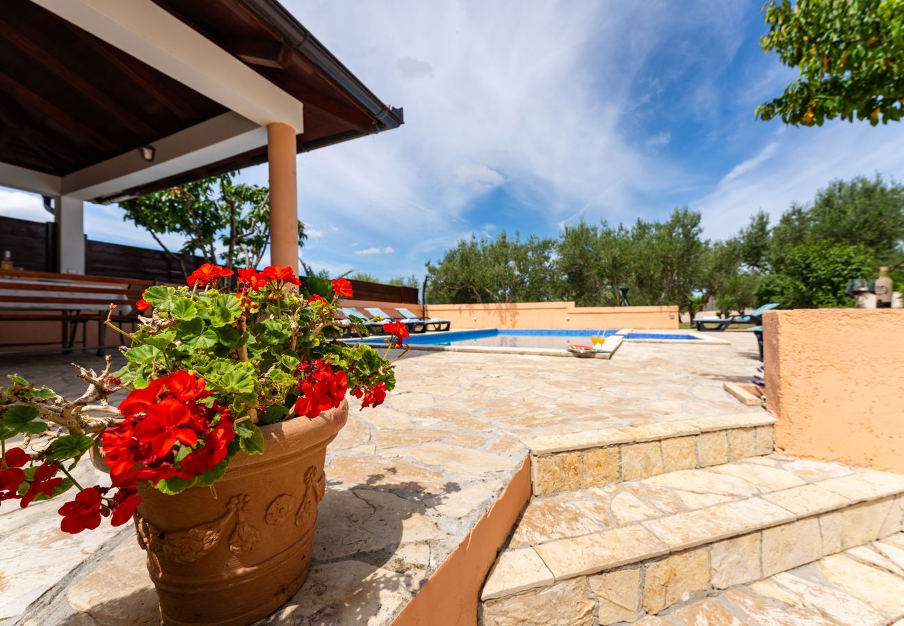 House in Visocane - Apartment Visocane with private pool