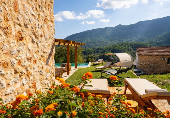 House in Svirce - Authentic Villa Fisola House in Svirce - Authentic Villa Fisola