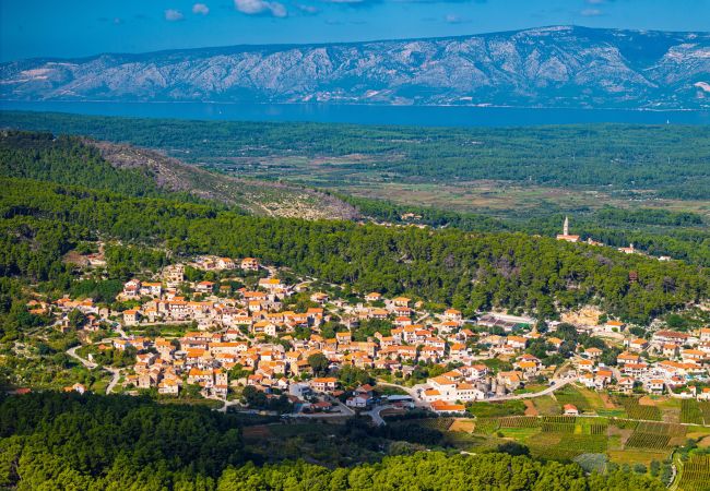 House in Svirce - Authentic Villa Fisola House in Svirce - Authentic Villa Fisola