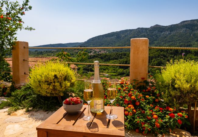 House in Svirce - Sea view Villa Amaria House in Svirce - Sea view Villa Amaria