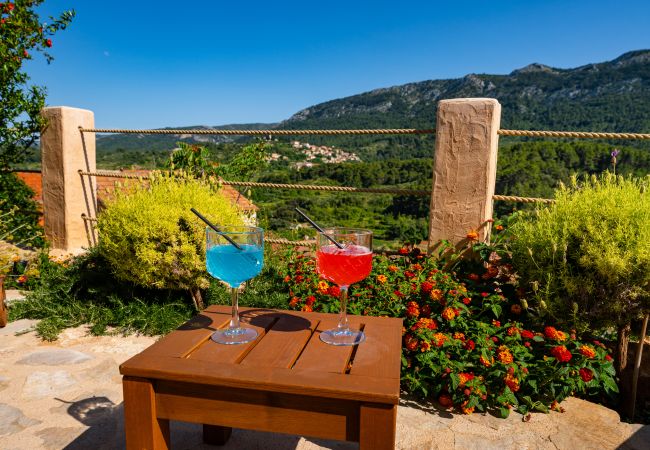 House in Svirce - Sea view Villa Amaria House in Svirce - Sea view Villa Amaria