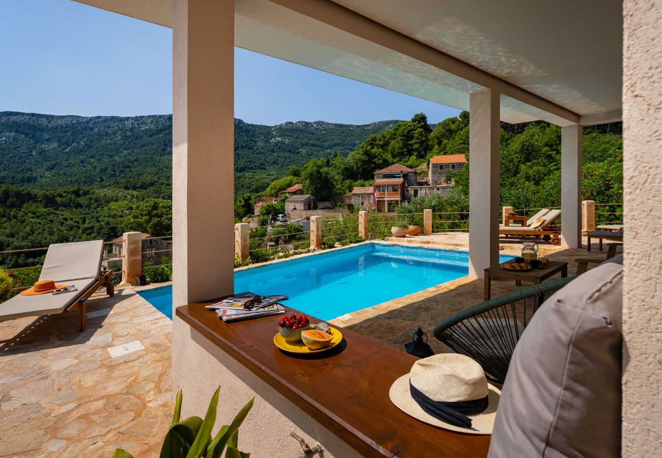 House in Svirce - Sea view Villa Amaria