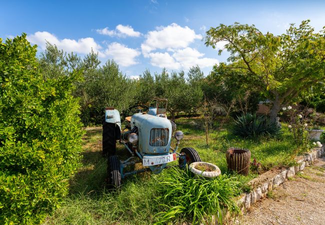House in Vodice - Holiday home Nadalina House in Vodice - Holiday home Nadalina