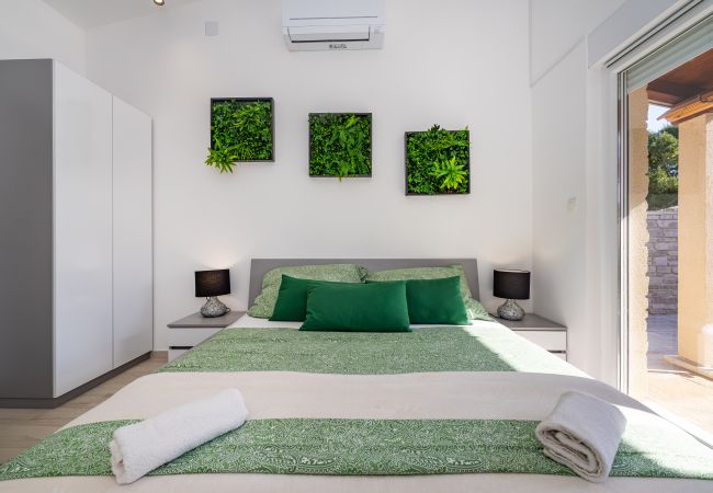 House in Vir - Villa Gajser House in Vir - Villa Gajser