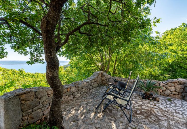 House in Starigrad - Sea view stone house Dobroselo House in Starigrad - Sea view stone house Dobroselo