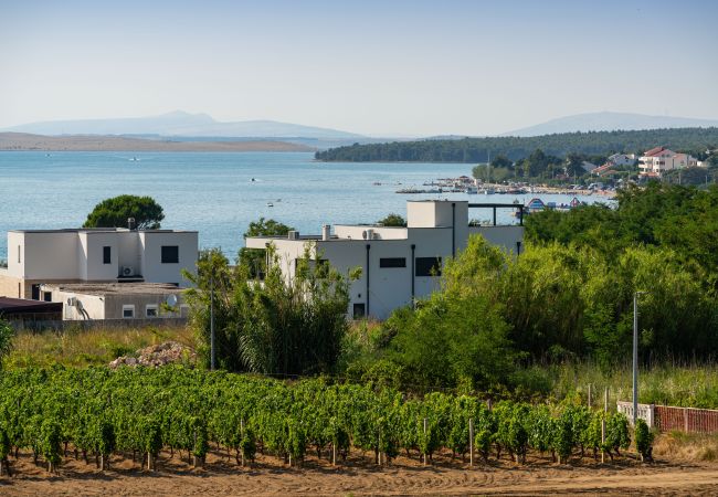 Apartment in Vrsi - Sea view apartment LaMag Apartment in Vrsi - Sea view apartment LaMag