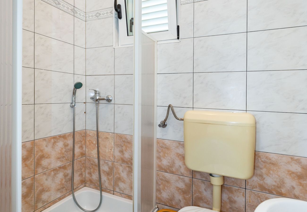 Apartment in Galovac - Apartment Galleli with private pool