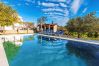 House in Donji Kašic - Holiday home Mandorla