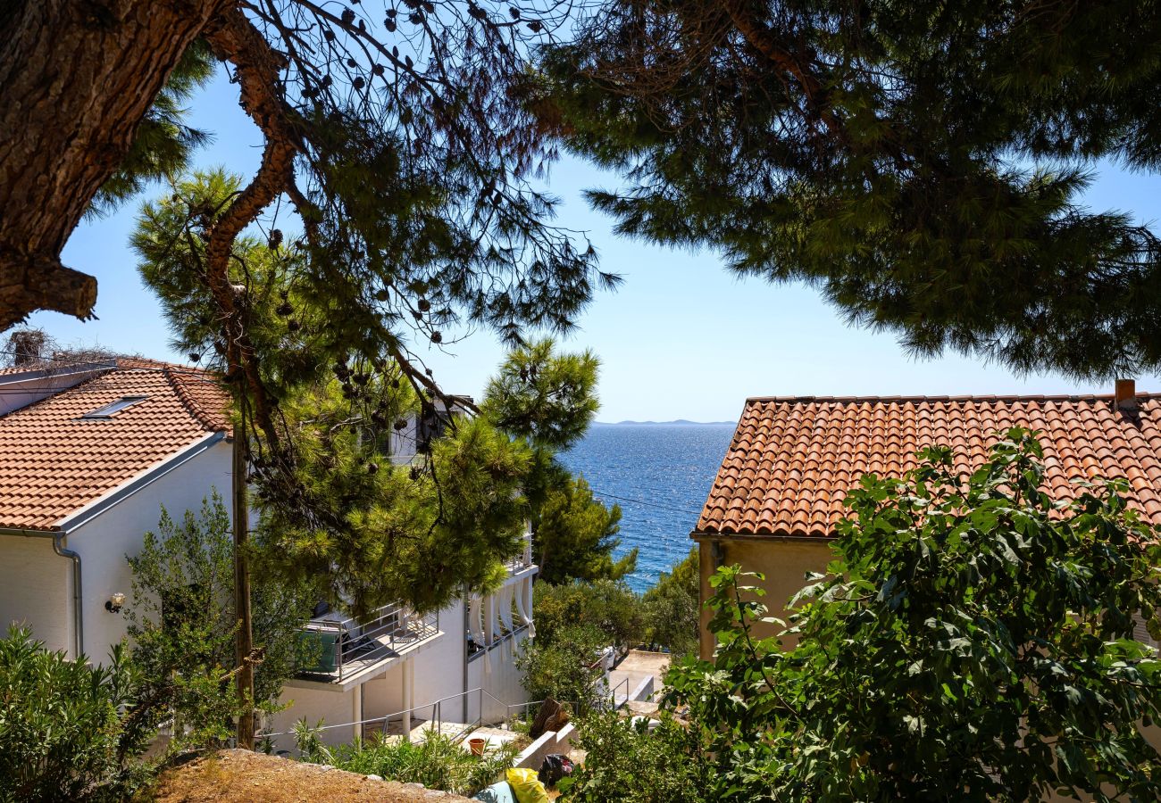 House in Murter - Beach House Kornati View